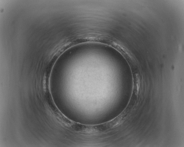X0000083600696200702162209
