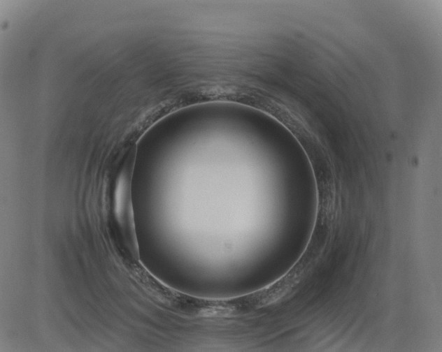 X0000083600700200702162209