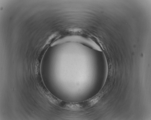 X0000083600712200702162208