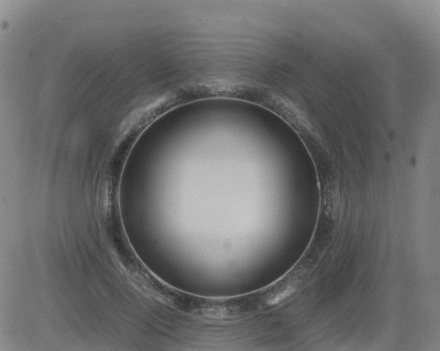 X0000083600740200702162208