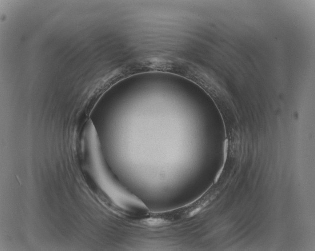 X0000083600748200702162208