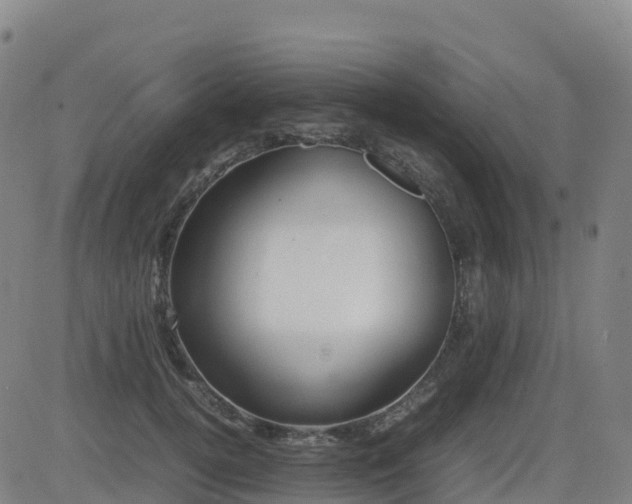 X0000083600752200702162208