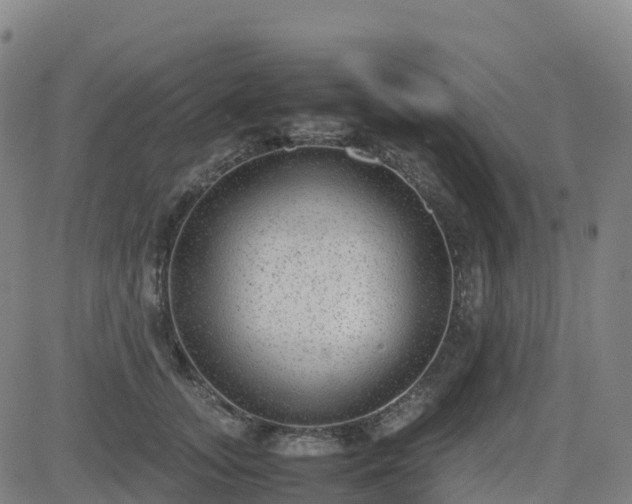X0000083600755200702162208