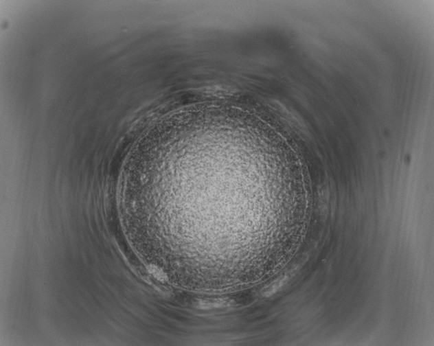 X0000083600757200702162208