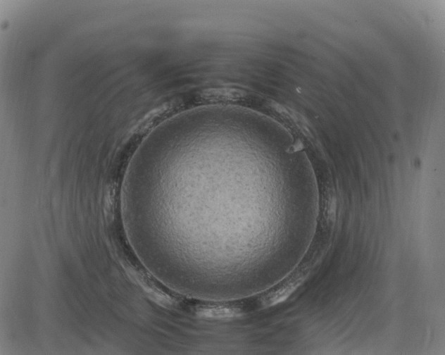 X0000083600759200702162208