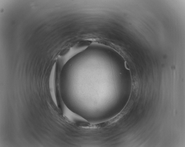 X0000083600767200702162208