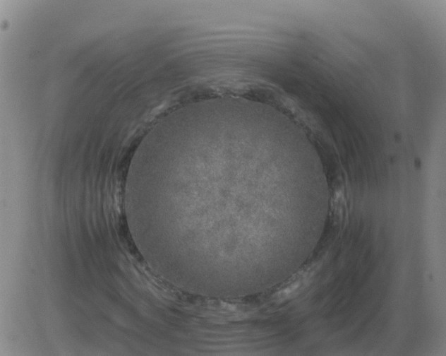 X0000083600772200702162208
