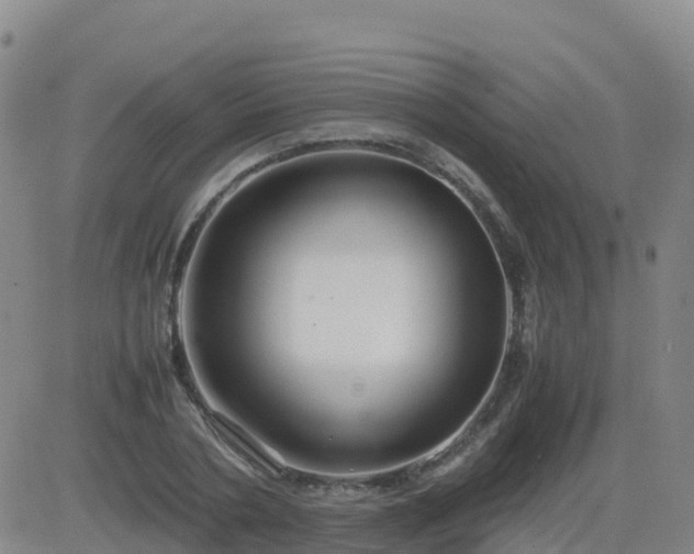 X0000083600786200702162207