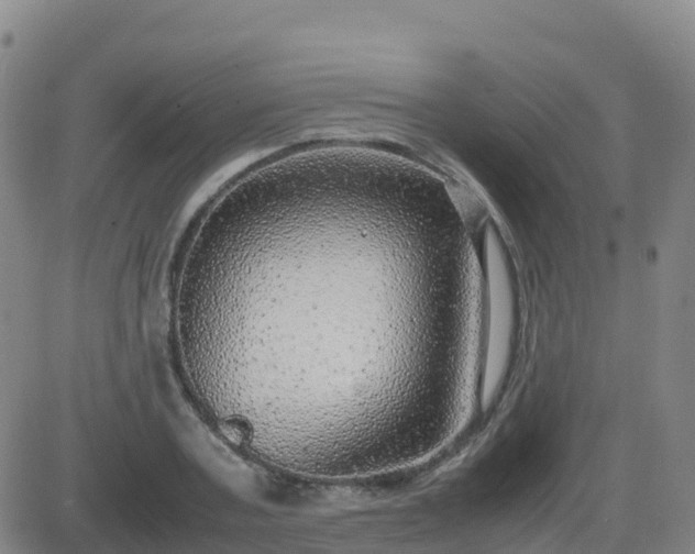 X0000083600787200702162207