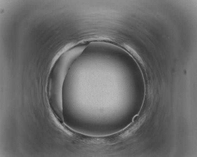 X0000083600797200702162207