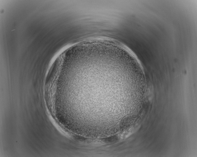 X0000083600811200702162207