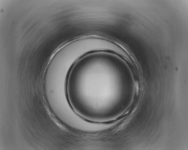 X0000083600858200702162207