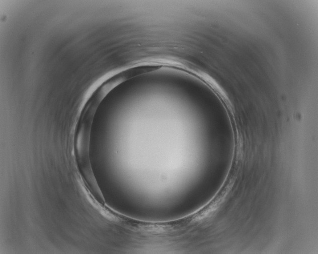 X0000083600862200702162207
