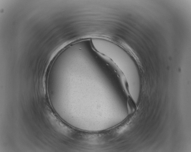 X0000083600892200702162206