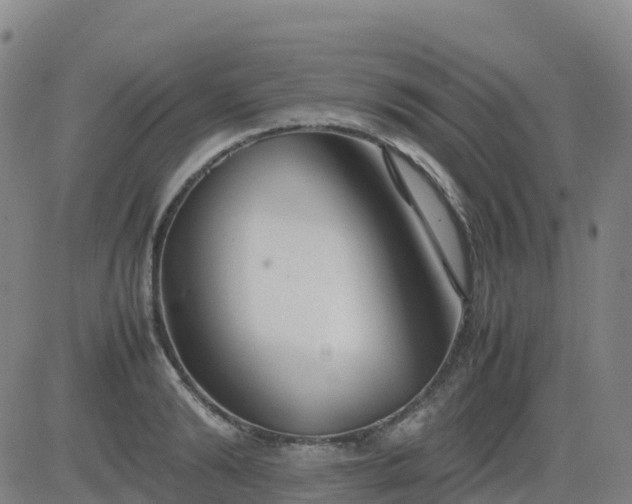 X0000083600894200702162206