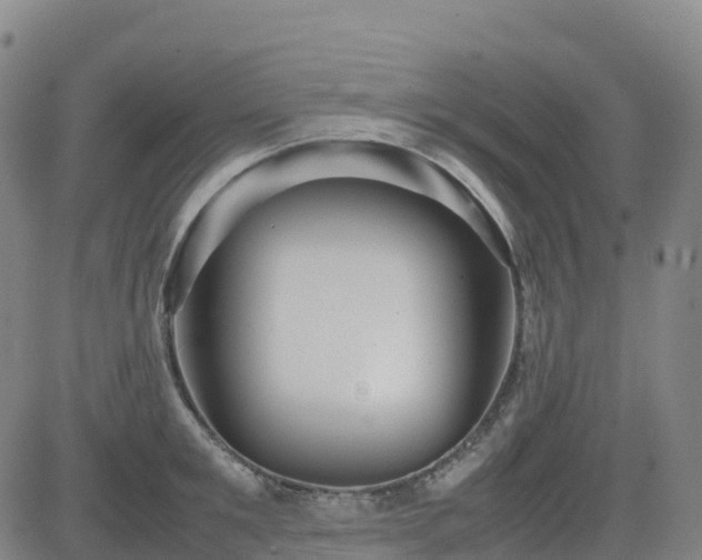 X0000083600901200702162205
