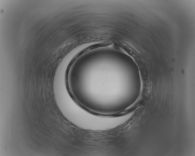 X0000083600917200702162205