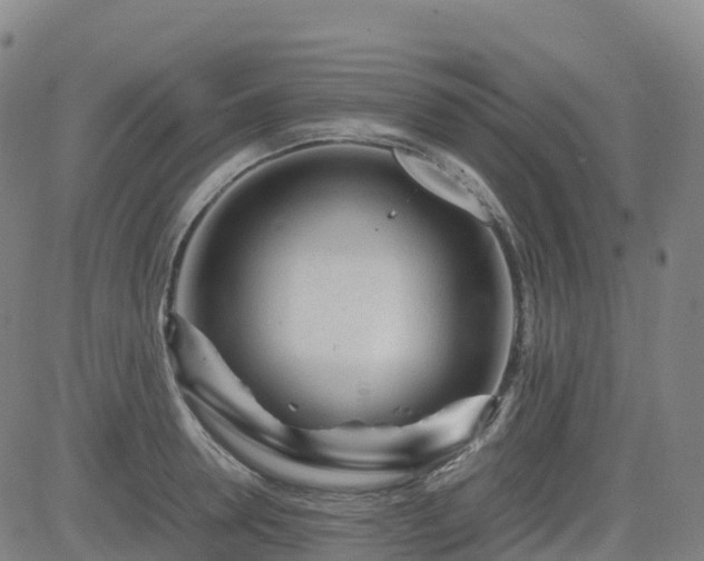 X0000083600946200702162205