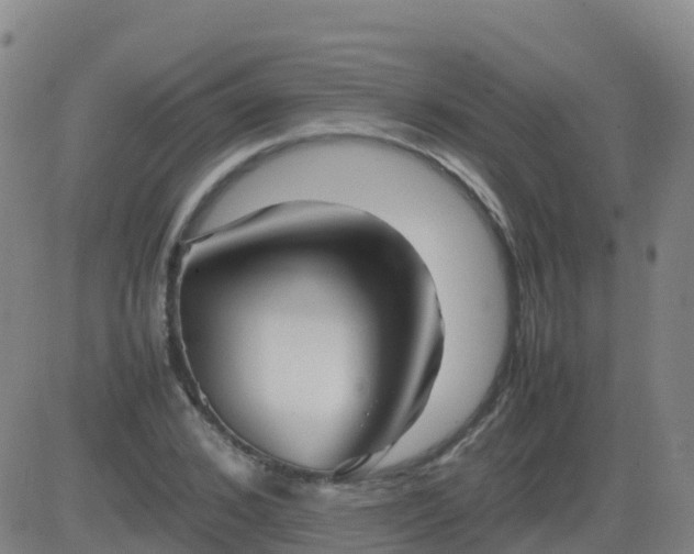 X0000083600976200702162204