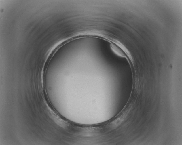 X0000083600988200702162204