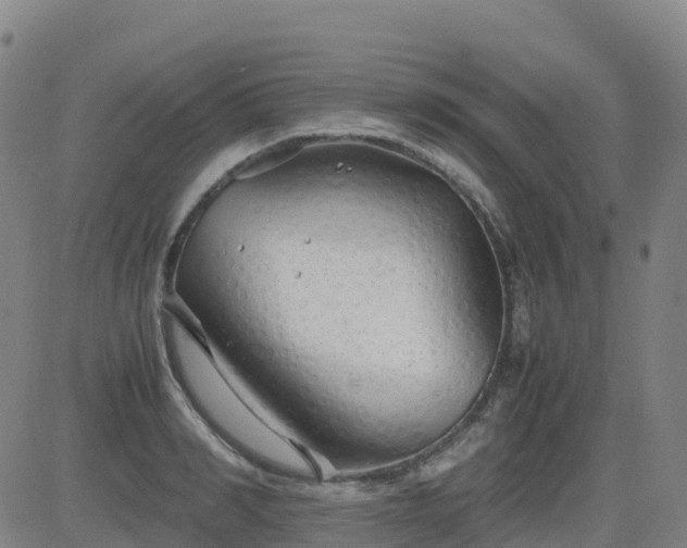 X0000083600990200702162204