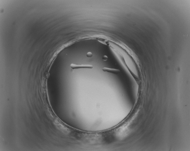 X0000083601001200702162204