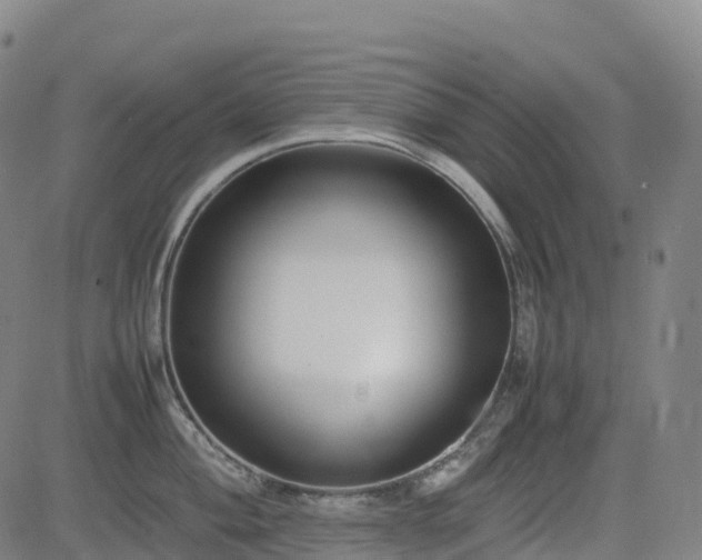 X0000083601004200702162204