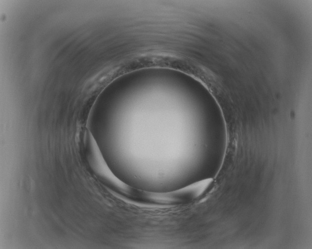 X0000083601014200702162203