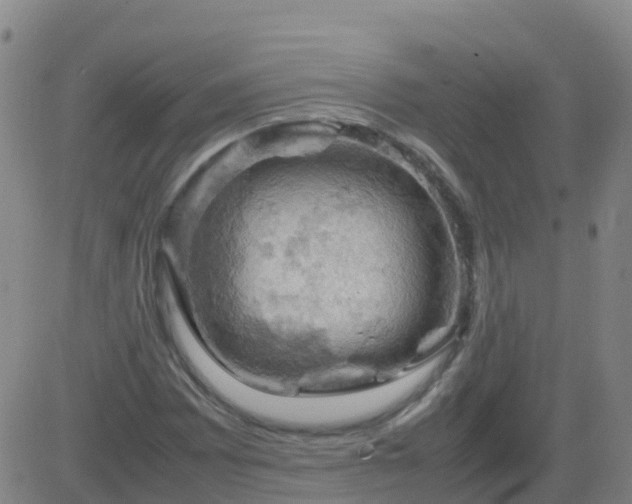 X0000083601065200702162203