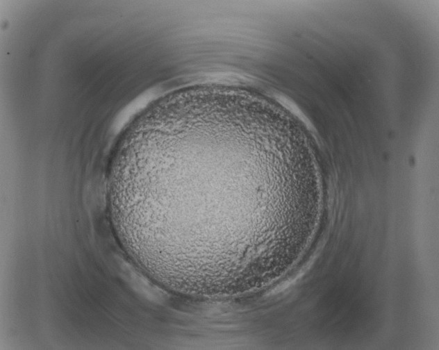 X0000083601067200702162203