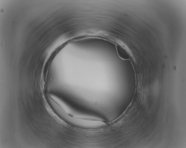 X0000083601080200702162202