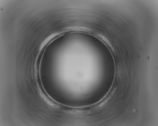 X0000083601082200702162202