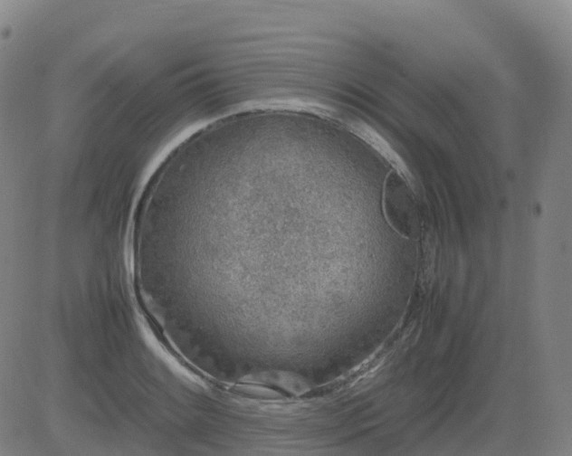 X0000083601084200702162202