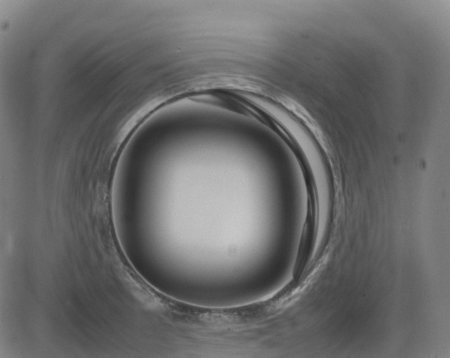 X0000083601089200702162202