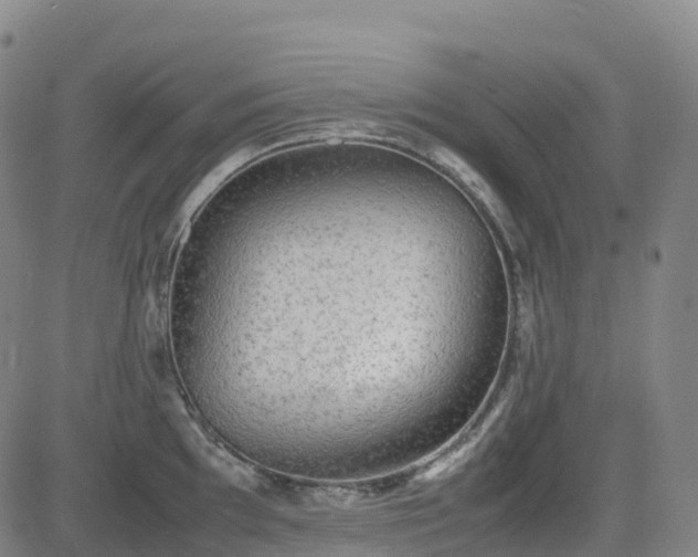 X0000083601097200702162202