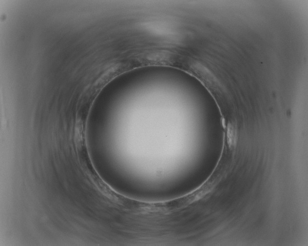 X0000083601107200702162201