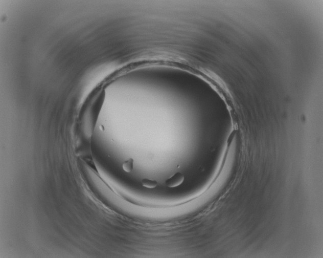 X0000083601120200702162201
