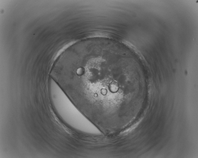 X0000083601121200702162201