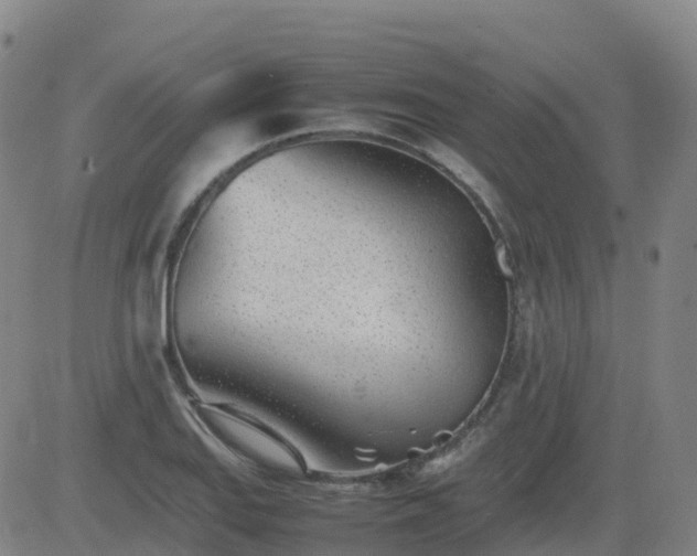 X0000083601127200702162202