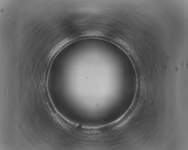 X0000083601129200702162202