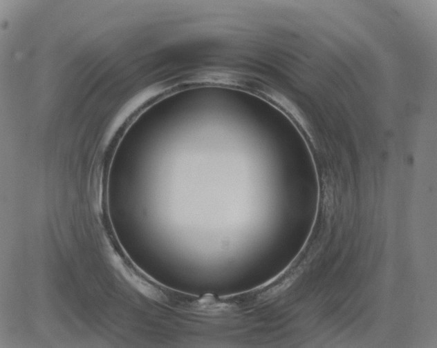X0000083601131200702162202