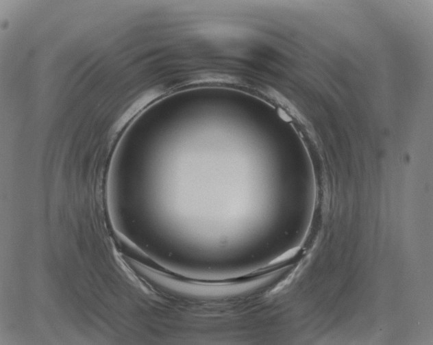 X0000083601137200702162202