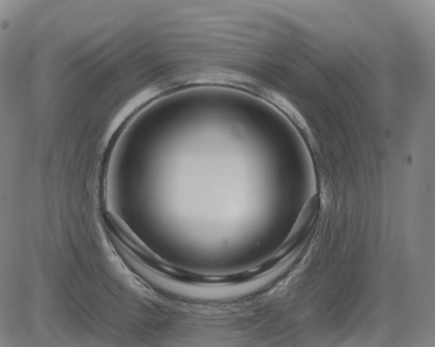 X0000083601138200702162202