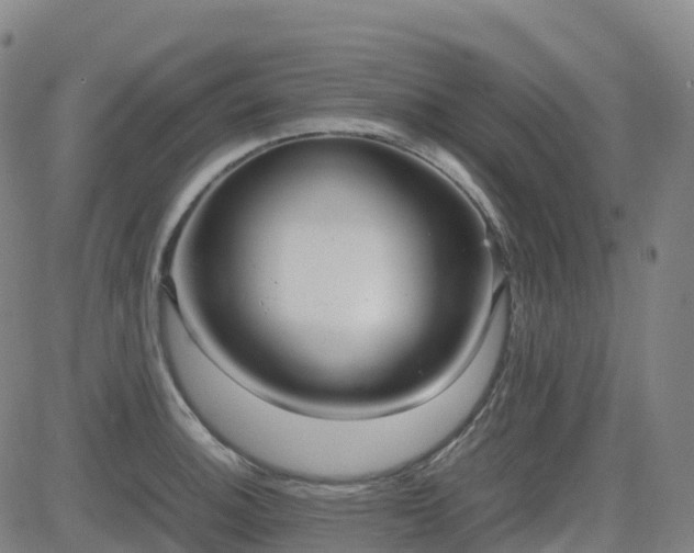 X0000083601140200702162202