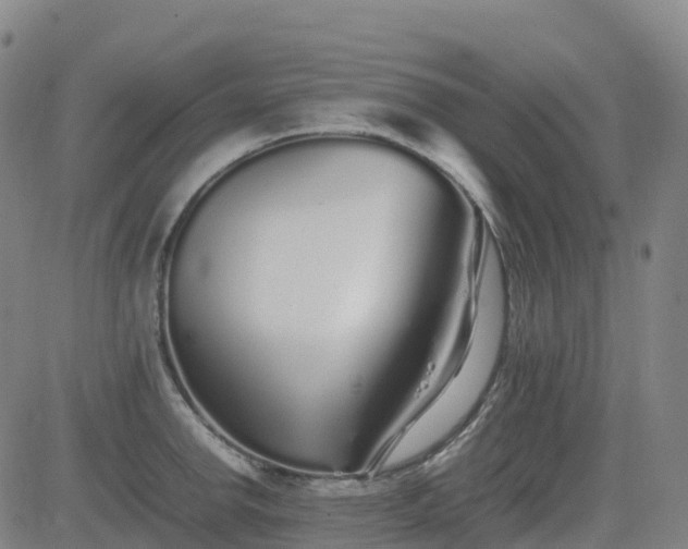 X0000083601142200702162202