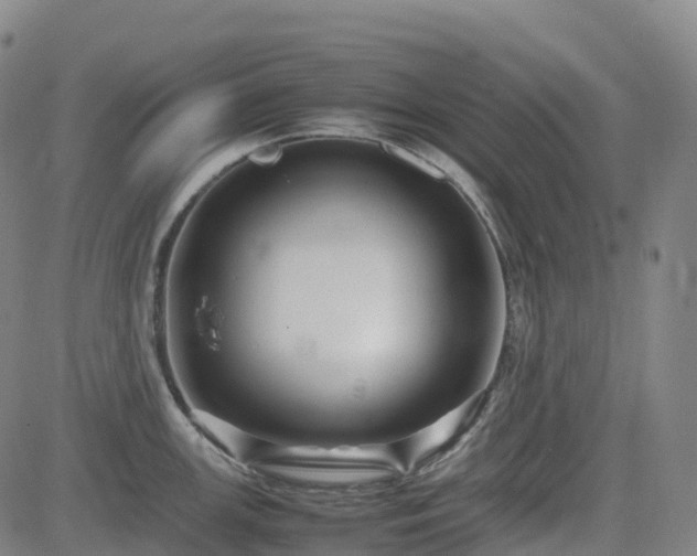X0000083601147200702162202