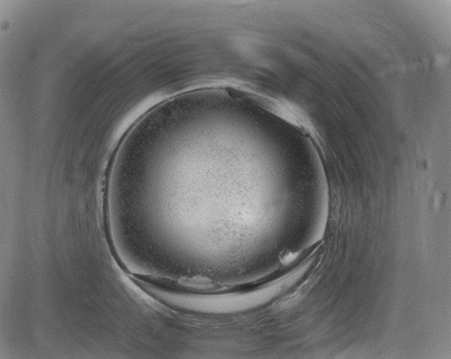 X0000083601151200702162202
