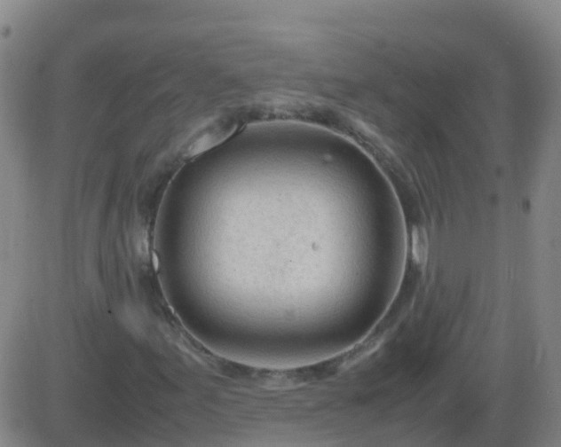 X0000083601155200702162201