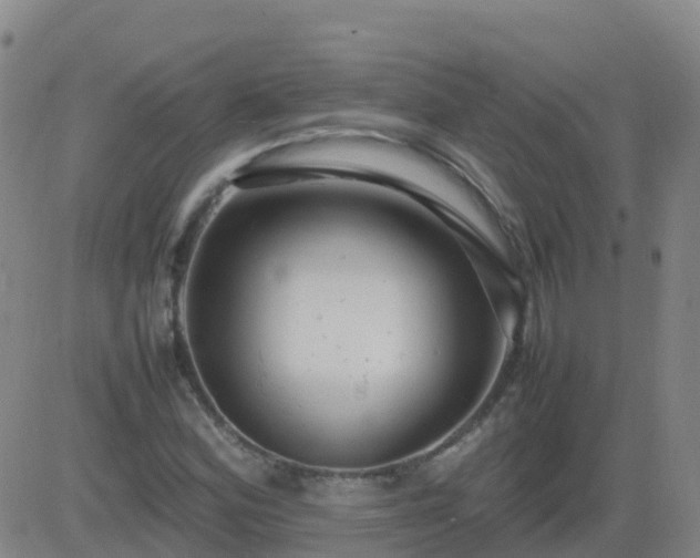 X0000083601164200702162201