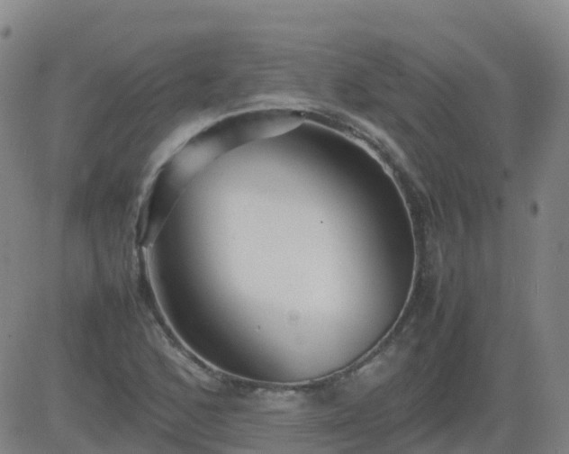 X0000083601168200702162201